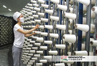 中國產(chǎn)業(yè)用紡織品行業(yè)協(xié)會標(biāo)準(zhǔn)化委員會成立，聚焦勞動保護(hù)用品生產(chǎn)新篇章